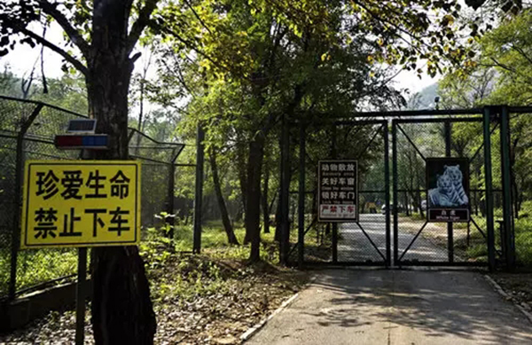 北京延庆区八达岭野生动物世界内的警示牌。